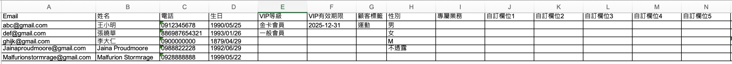 範例檔左半欄位:Email、姓名、電話、生日、VIP等級、VIP有效期限、顧客標籤、性別、專屬業務、自訂欄位1~5